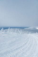 Fototapeta na wymiar road covered by snow in winter