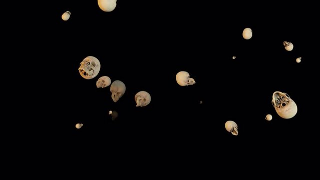 particles of heads