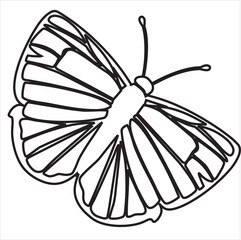 Vector, Image of butterfly, black and white, with transparent background