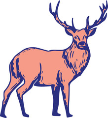 deer vector illustration