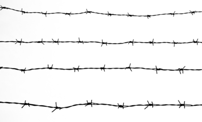 Silhouette of barbed wire