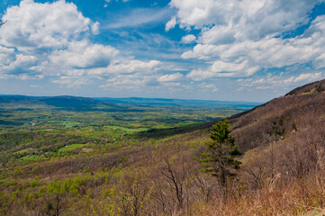 Springtime in Shenandoah National Park Virginia USA, Virginia