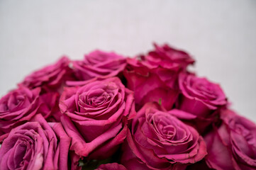 Fototapeta premium pink roses bouquet