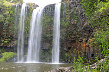 Fototapeta na wymiar Whangarei Falls - New Zealand