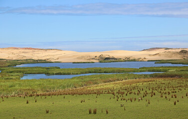 Cape Reinga dunes - New Zealand