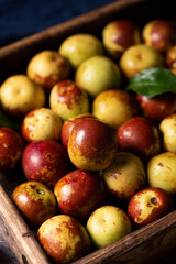 Chinese jujube or winter jujube on wooden table