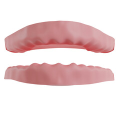 Gum Front Side 3D Icon