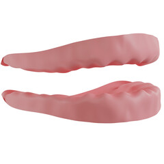 Gum Left Side 3D Icon