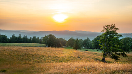 Beautiful sunset over farmlands in the Swiss Alps - travel photography