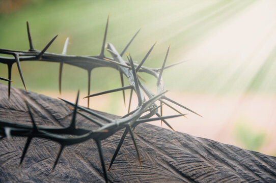 Crown of thorns with customizable space for the and Christian quotes. Christianity concept.