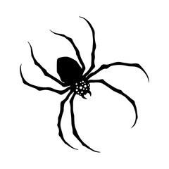 vector illustration of big spider