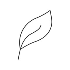Leaf  vector icon. Line sign for mobile concept and web design. Symbol, logo illustration. Vector graphics