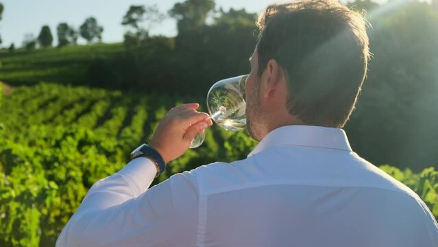Young sommelier tasting wine. Young sommelier sniffing and tasting newly imported wine and smiling happily after tasting. a man in a white shirt drinks wine from a glass goblet at a winery, rear view