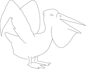 simple cute pelican bird character logo illustration vector sketch for coloring