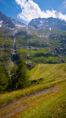 Fototapeta premium Amazing nature on the top of the mountains in the Swiss Alps with a wonderful view - travel photography