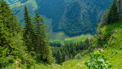 Beautiful green nature in the Swiss Alps - amazing Switzerland - travel photography