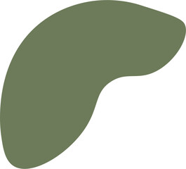 Boho Illustration Shape