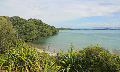Shelly Bay, New Zealand