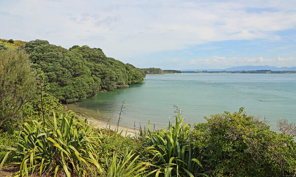 Shelly Bay, New Zealand