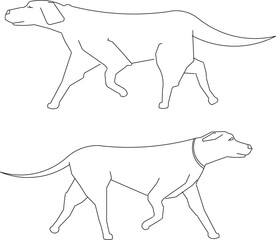 illustration of a dog
