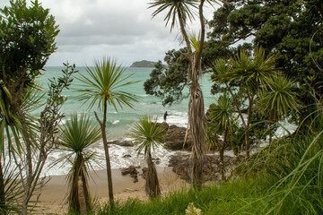 Fishing in Northland