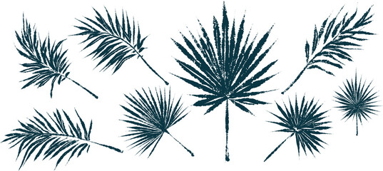 Palm tree leaves. Textured ink brush drawing