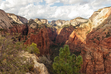 Zion National Park, Utah, United States