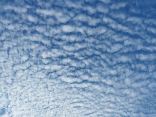 A mackerel sky is a common term for clouds made up of rows of Altocumulus rippling pattern similar in appearance to fish scales. Altocumulus floccus white fluffy clouds covering the blue sky. 
