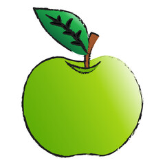 Green apple isolated on transparent background , fruit line art isolated