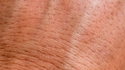 abstract tan human skin background texture