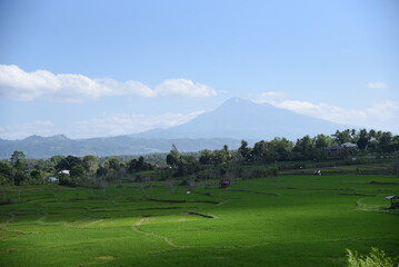 Fototapeta na wymiar landscape with mountains and sky views of the rice fields and mountains of Seulawah in Aceh Besar