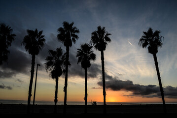 Obraz premium Venice Beach