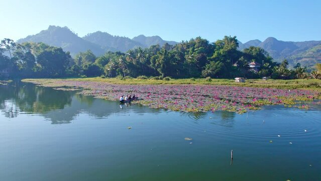 Lake Sebu lotos farm Cotabato. canoe in the lake