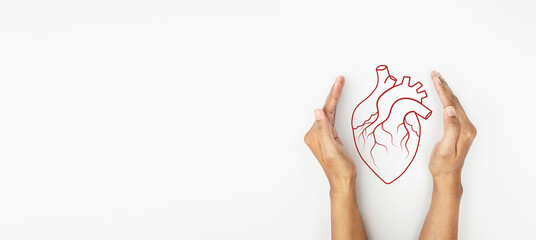 Hand hold red line heart organ, heart disease awareness campaign, cardiovascular health, Stroke...