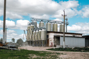 Vertical silos with fodder for cattle on a farm, production, agriculture