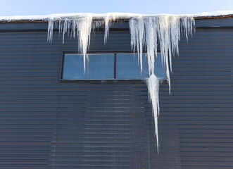 Huge dangerous ice icicles hanging from the edge of the roof