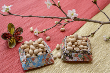 日本の文化、節分と啓翁桜