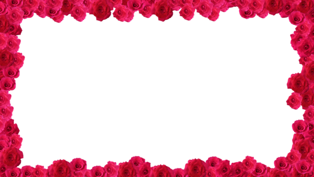 frame red rose flower for valentine day and wedding background