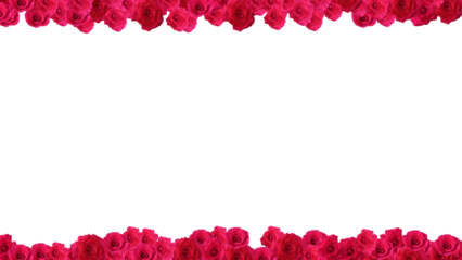 frame flower red rose pink for valentine day or wedding event card
