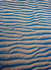 detail of sand dunes