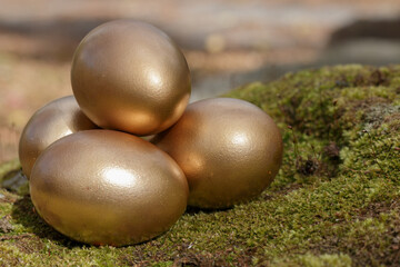 Pile of four golden eggs on green mossy rock