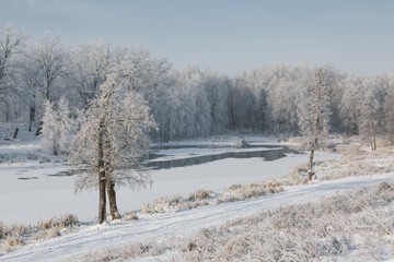 winter river, view of the snowy forest, winter nature
