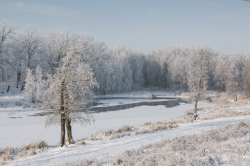Obraz premium winter river, view of the snowy forest, winter nature