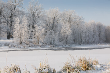 winter river, view of the snowy forest, winter nature