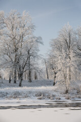 Fototapeta premium winter river, view of the snowy forest, winter nature