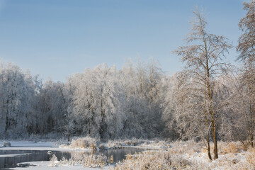 Obraz na płótnie Canvas winter river, view of the snowy forest, winter nature