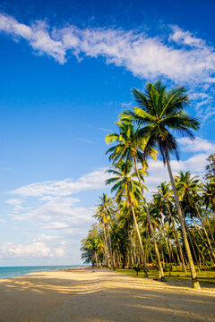 Holiday concept image with Scenery near beach  and vacation view in Terengganu.