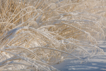 snow patterns, textures, christmas background, close-up