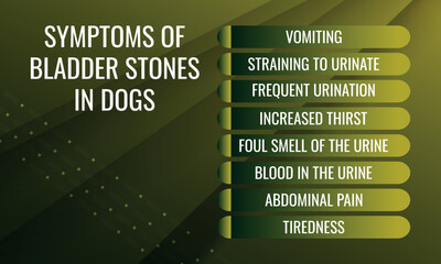 Obraz premium SYMPTOMS OF Bladder Stones IN DOGS. Vector illustration for medical journal or brochure. 