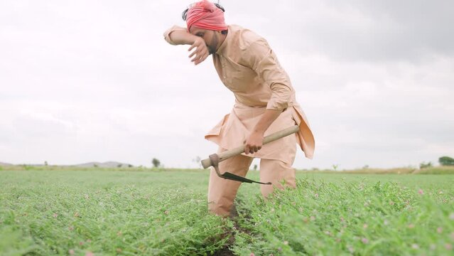 tired young village farmer busy working on farmland during monsoon cloudy day - conept of hardworking, traditional farming and harvesting sesaon